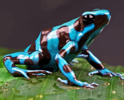 Dart Frog Diamond Painting