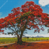 Flamboyant Tree Diamond Painting