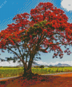 Flamboyant Tree Diamond Painting