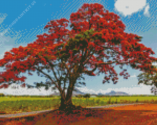 Flamboyant Tree Diamond Painting