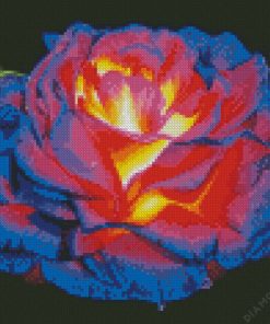 Glowing Roses Diamond Painting