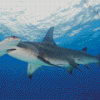 Hammerhead Shark in The Ocean Diamond Painting