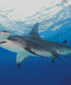 Hammerhead Shark in The Ocean Diamond Painting