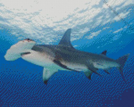 Hammerhead Shark in The Ocean Diamond Painting