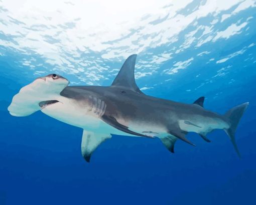 Hammerhead Shark in The Ocean Diamond Painting