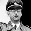 Heinrich Himmler Politician Diamond Painting