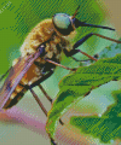 Horse Fly On Leaf Diamond Painting