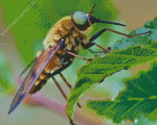 Horse Fly On Leaf Diamond Painting