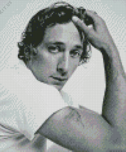 Jeremy Allen White Actor Diamond Painting