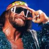 Macho Man Savage Diamond Painting