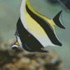 Moorish idol Fish Diamond Painting