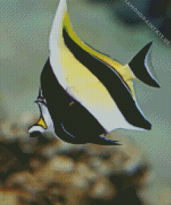 Moorish idol Fish Diamond Painting