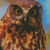 Morepork Bird Diamond Painting