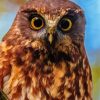 Morepork Bird Diamond Painting