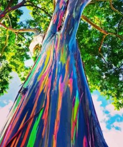 Rainbow Eucalyptus Tree Diamond Painting