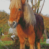 Shetland Pony Horse Diamond Painting