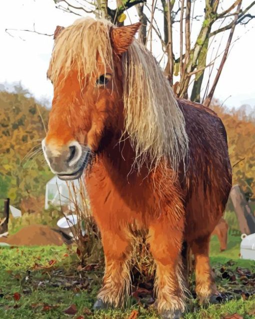 Shetland Pony Horse Diamond Painting