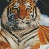 Siberian Tiger Snow Diamond Painting