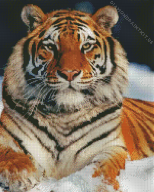 Siberian Tiger Snow Diamond Painting