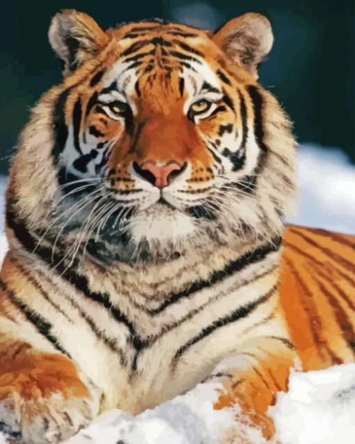 Siberian Tiger Snow Diamond Painting