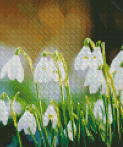 Snowdrops White Flowers Diamond Painting