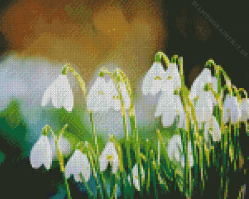 Snowdrops White Flowers Diamond Painting