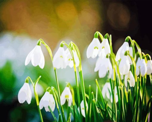 Snowdrops White Flowers Diamond Painting