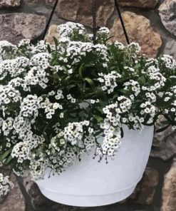 Alyssum Hanging Basket Diamond Painting