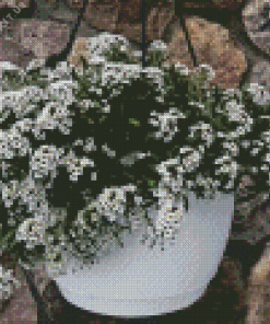 Alyssum Hanging Basket Diamond Painting