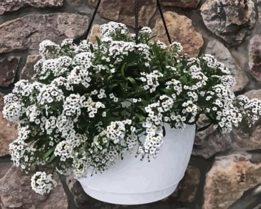 Alyssum Hanging Basket Diamond Painting