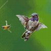 Bee And Humming Bird Diamond Painting