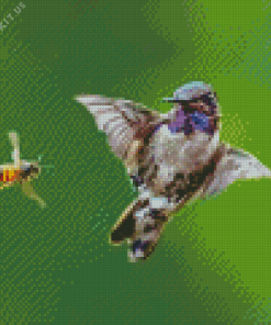 Bee And Humming Bird Diamond Painting