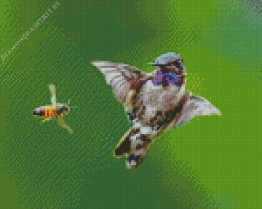 Bee And Humming Bird Diamond Painting