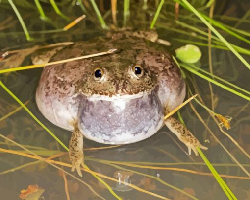 Big Water Holding Frog Diamond Painting