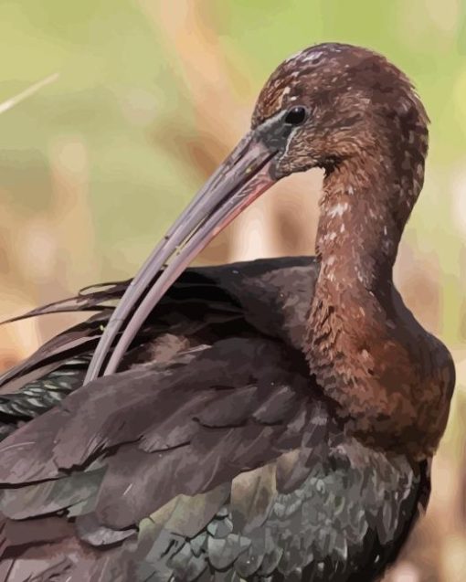 Black Ibis Bird Diamond Painting