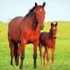 Brown Horse With Foal Diamond Painting