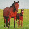 Brown Horse With Foal Diamond Painting