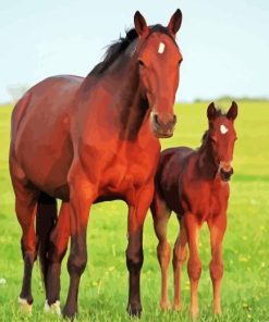 Brown Horse With Foal Diamond Painting