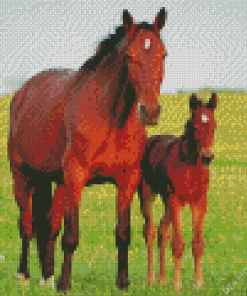 Brown Horse With Foal Diamond Painting