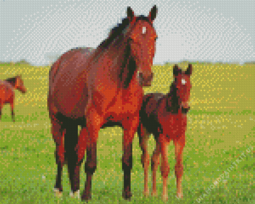 Brown Horse With Foal Diamond Painting