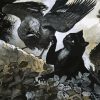 Black Cat And Crow Diamond Painting