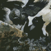 Black Cat And Crow Diamond Painting