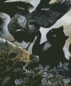 Black Cat And Crow Diamond Painting