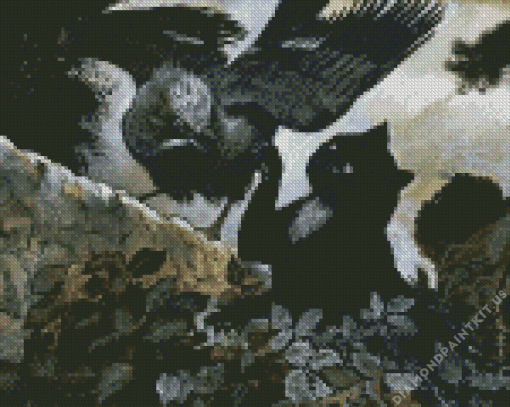 Black Cat And Crow Diamond Painting