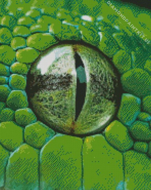 Close Up Rattlesnake Eye Diamond Painting