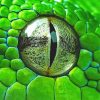 Close Up Rattlesnake Eye Diamond Painting