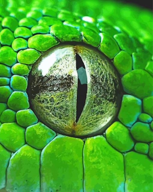 Close Up Rattlesnake Eye Diamond Painting