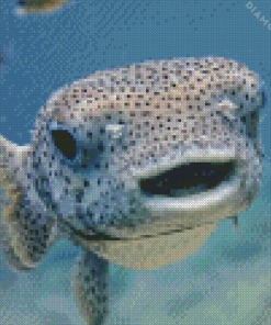 Cute Puffer Fish Diamond Painting