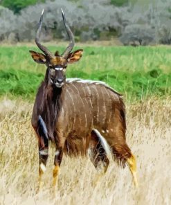 Cute Nyala Diamond Painting