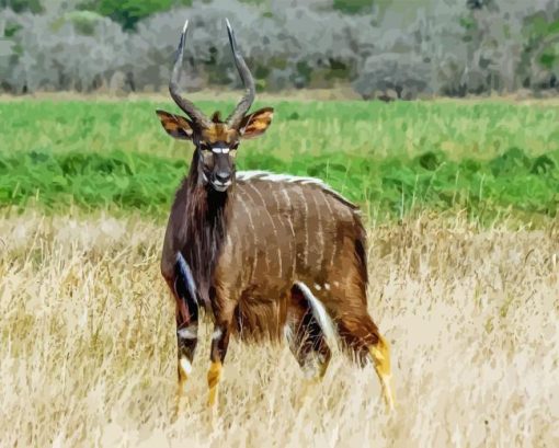 Cute Nyala Diamond Painting